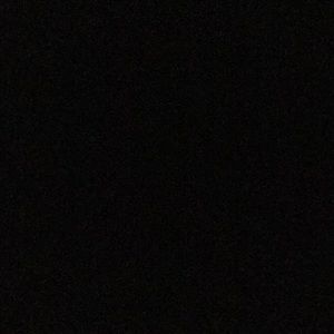 Meet your Posher, Tamera